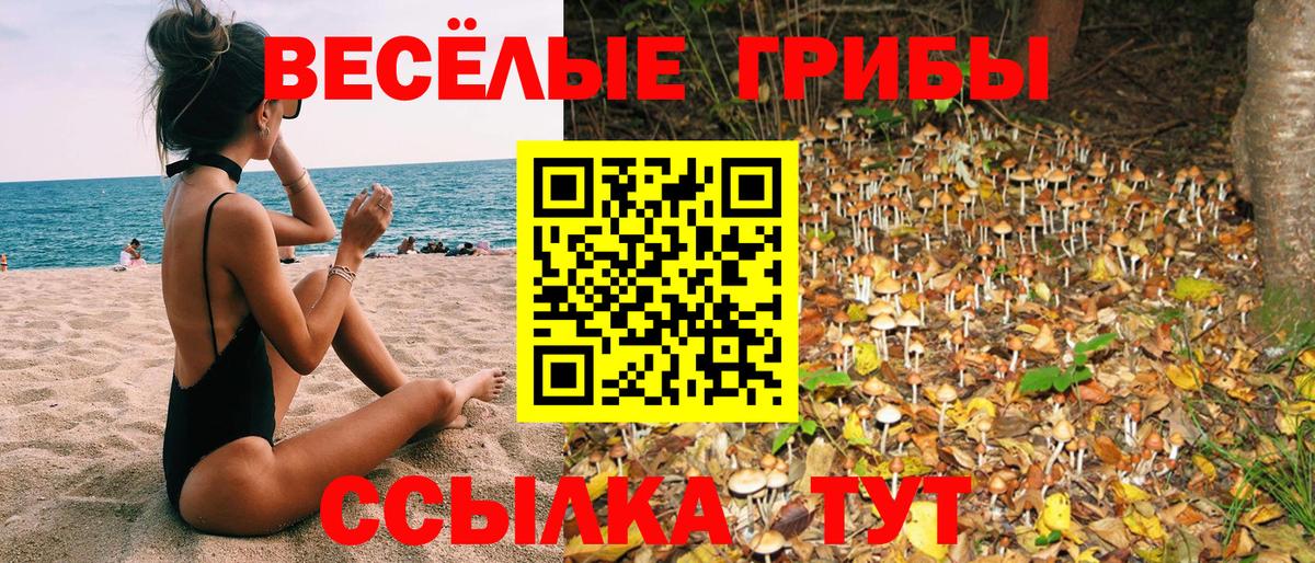Псилоцибиновые грибы прущие грибы Мичуринск